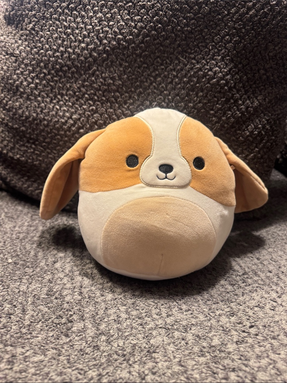 Squishmallows Tan & Cream Cute Puppy Plush